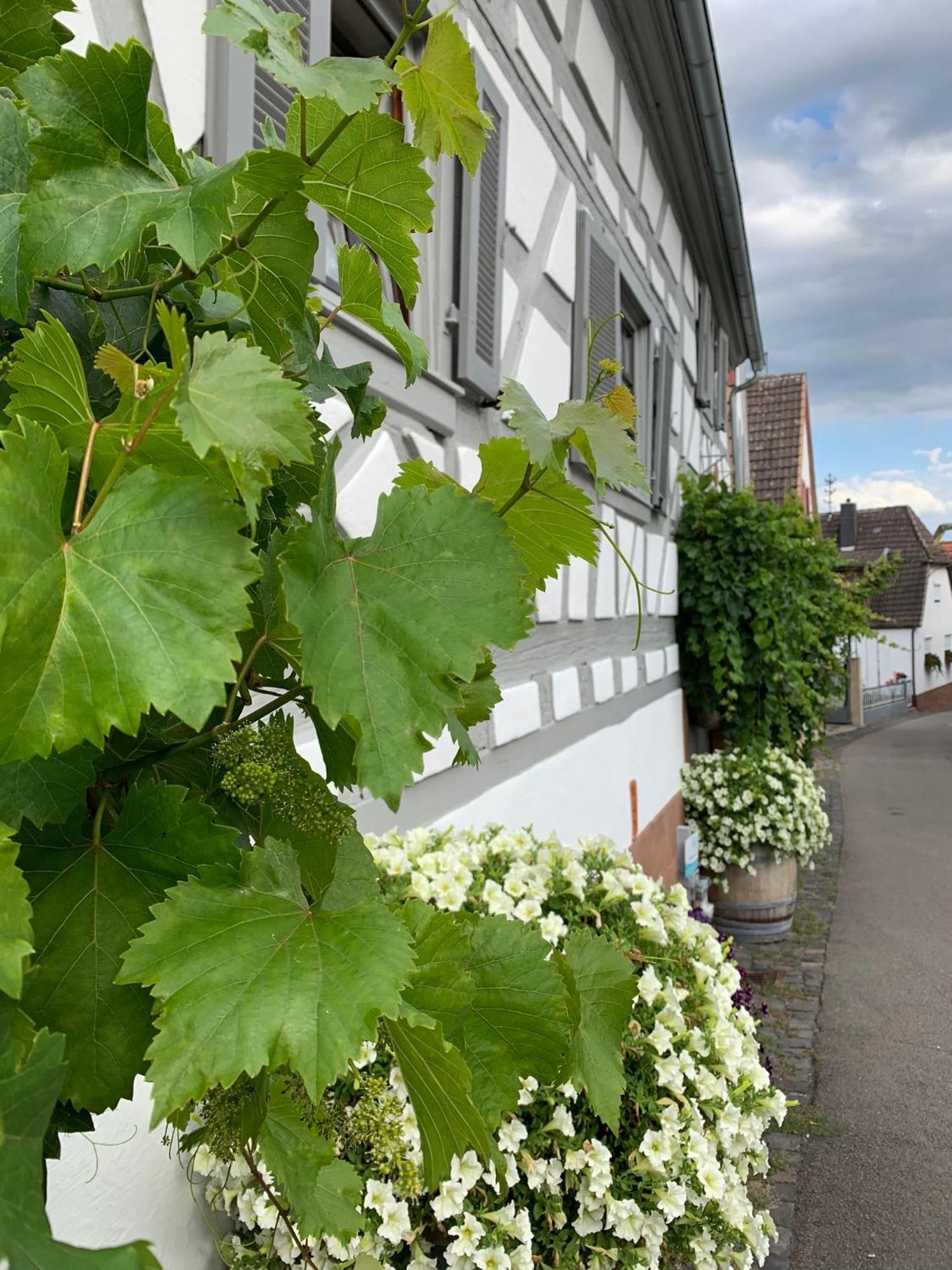 Ferienwohnung Sambachhaus Gleiszellen-Gleishorbach Esterno foto